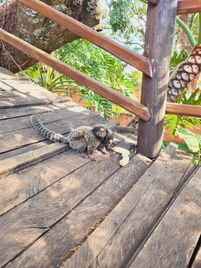 Hotel Fazenda Villa Vitta Sao Pedro  Kültér fotó